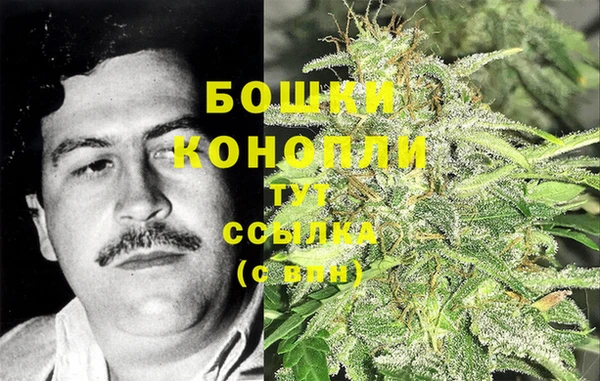 тгк Горняк