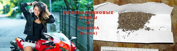 тгк Горняк