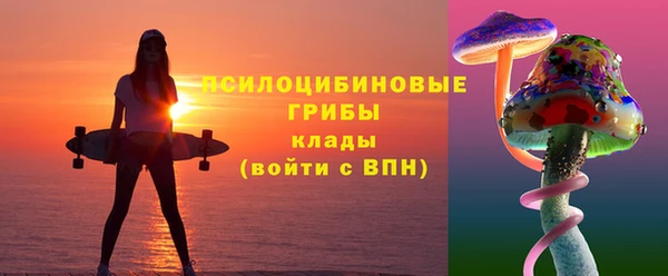 мескалин Гусиноозёрск